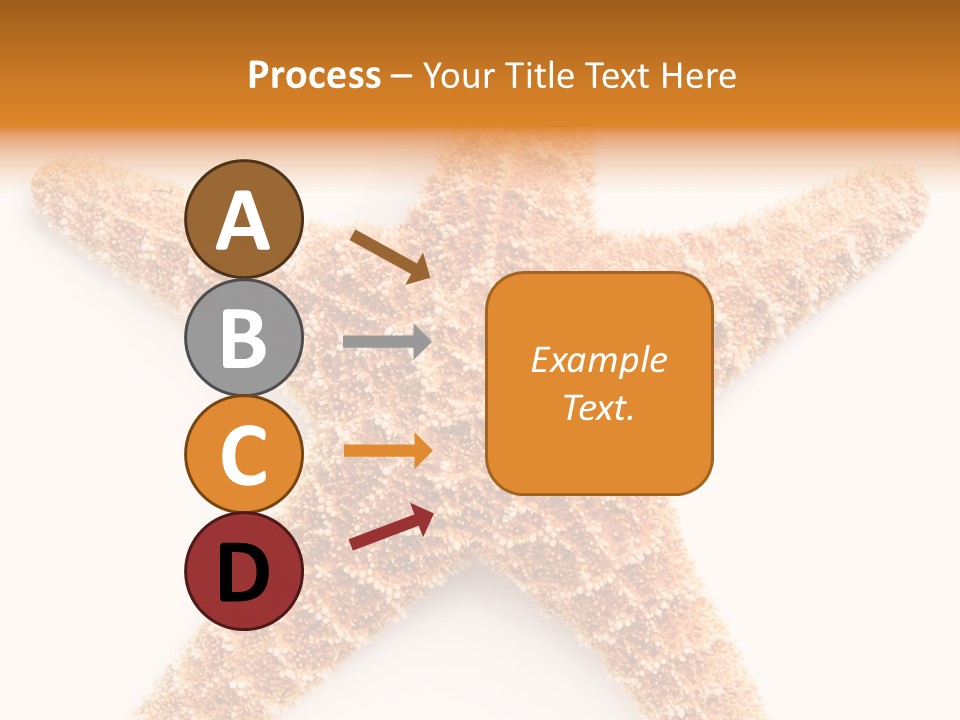 A Starfish With A White Background Is Shown PowerPoint Template
