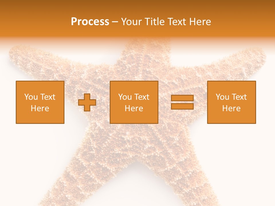 A Starfish With A White Background Is Shown PowerPoint Template