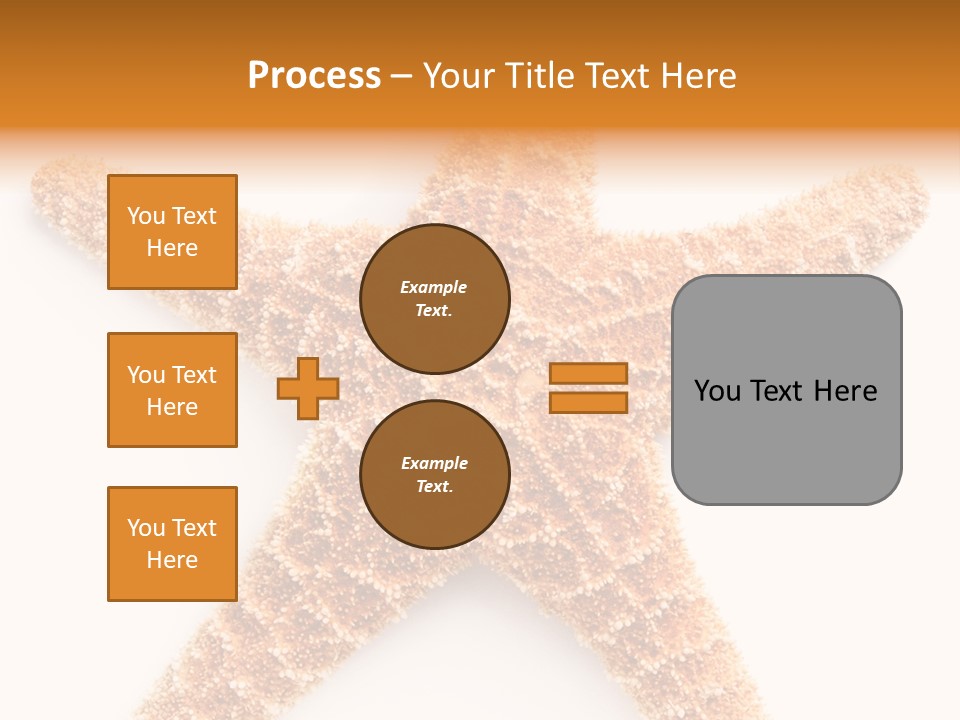 A Starfish With A White Background Is Shown PowerPoint Template