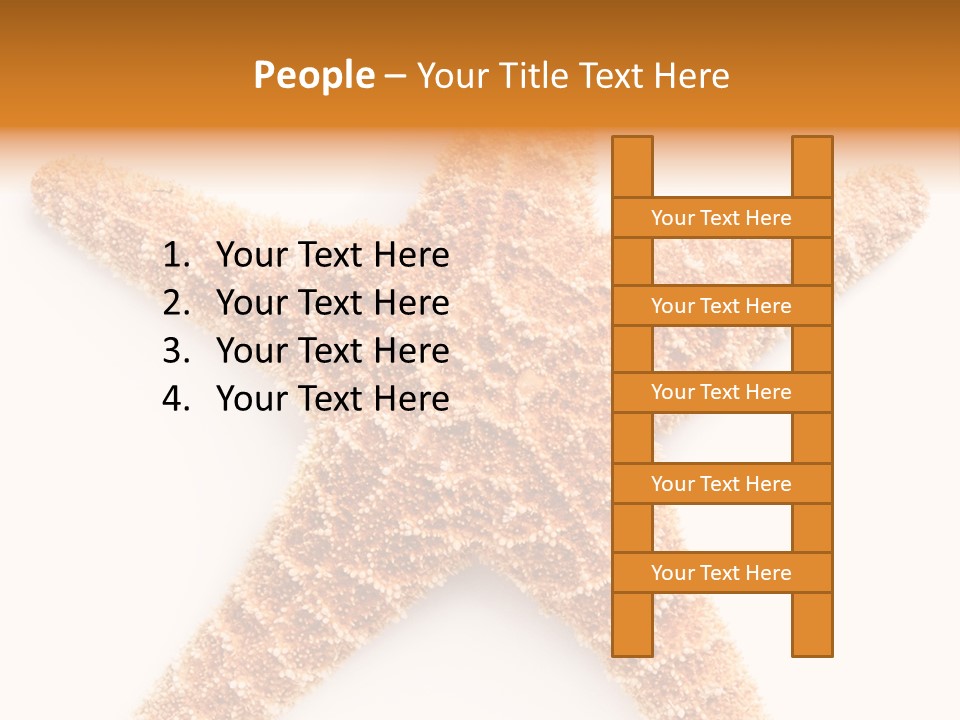 A Starfish With A White Background Is Shown PowerPoint Template