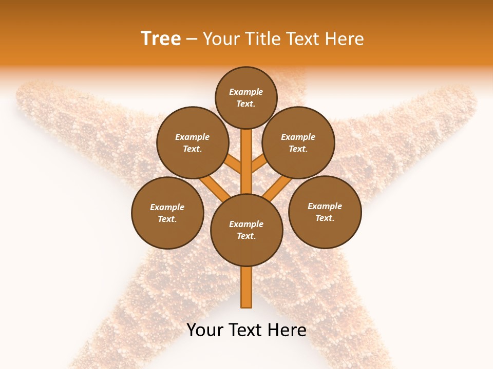 A Starfish With A White Background Is Shown PowerPoint Template