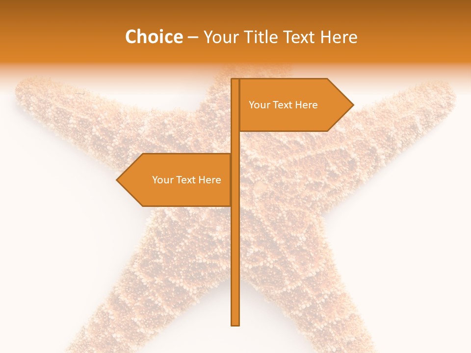 A Starfish With A White Background Is Shown PowerPoint Template