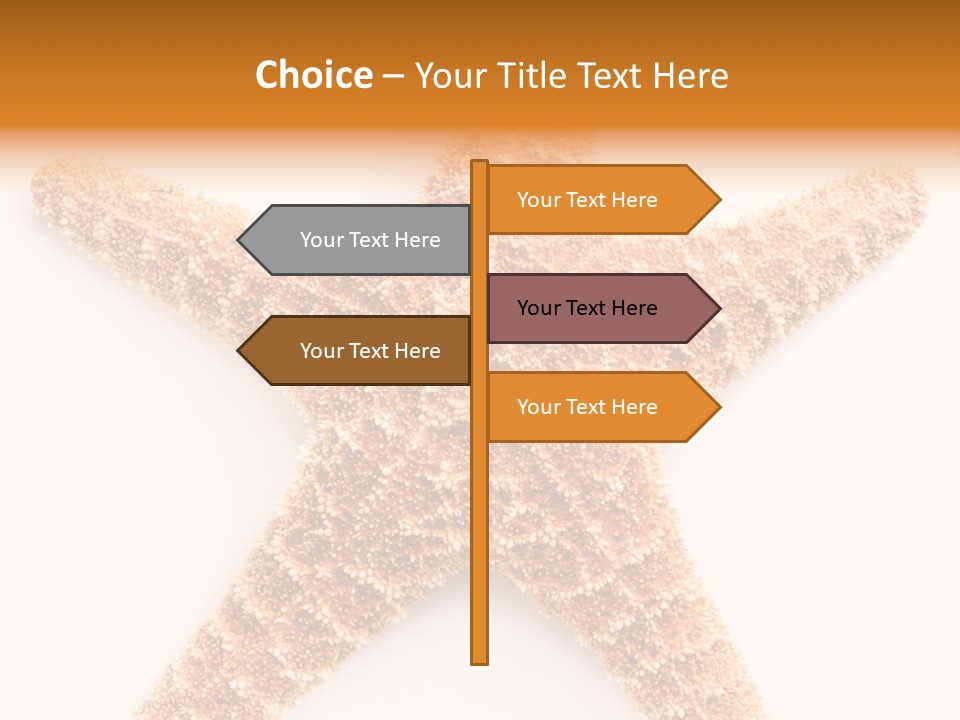 A Starfish With A White Background Is Shown PowerPoint Template