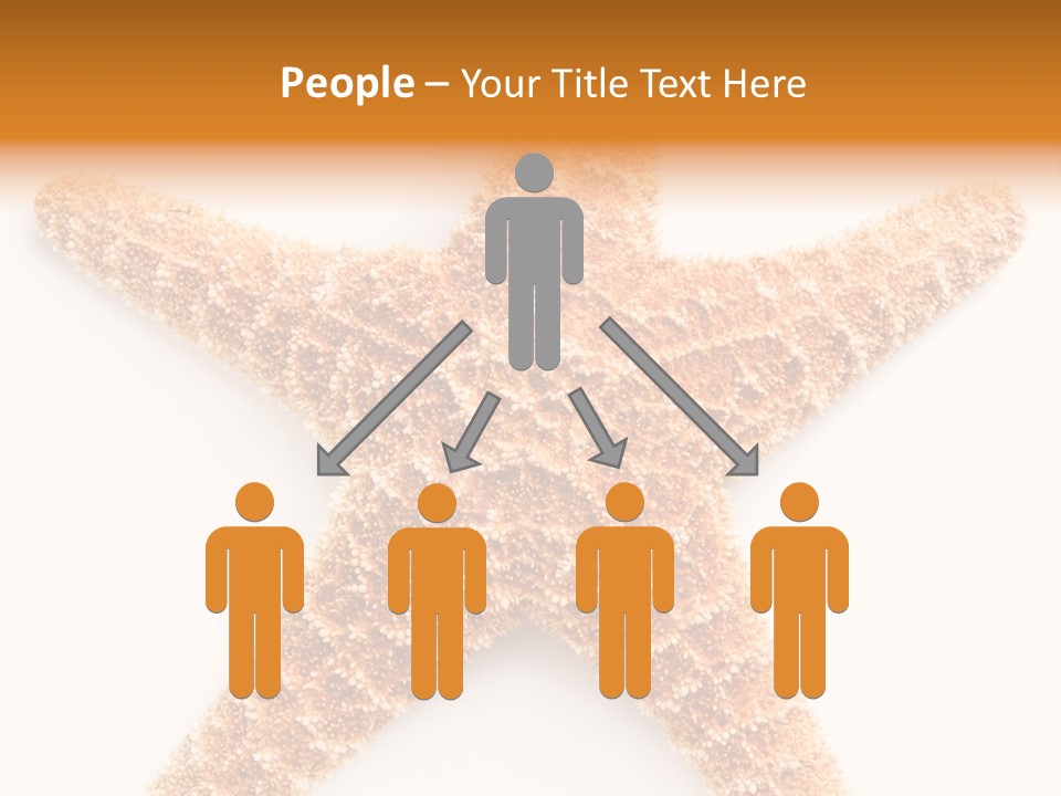 A Starfish With A White Background Is Shown PowerPoint Template