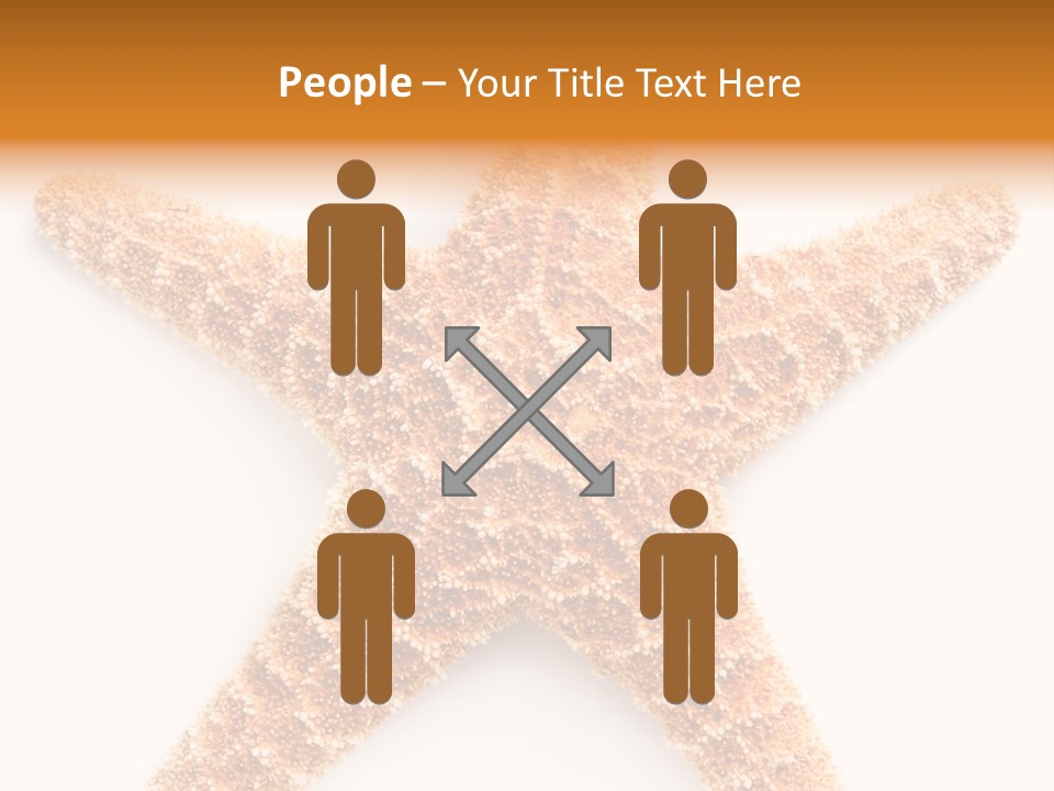 A Starfish With A White Background Is Shown PowerPoint Template