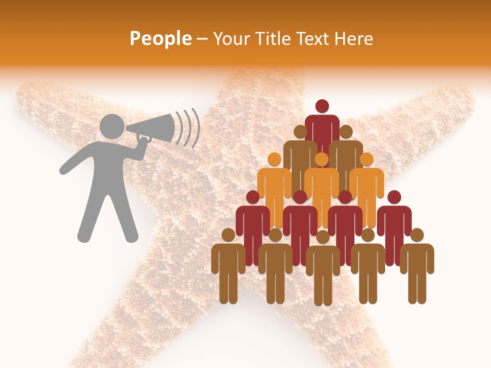 A Starfish With A White Background Is Shown PowerPoint Template