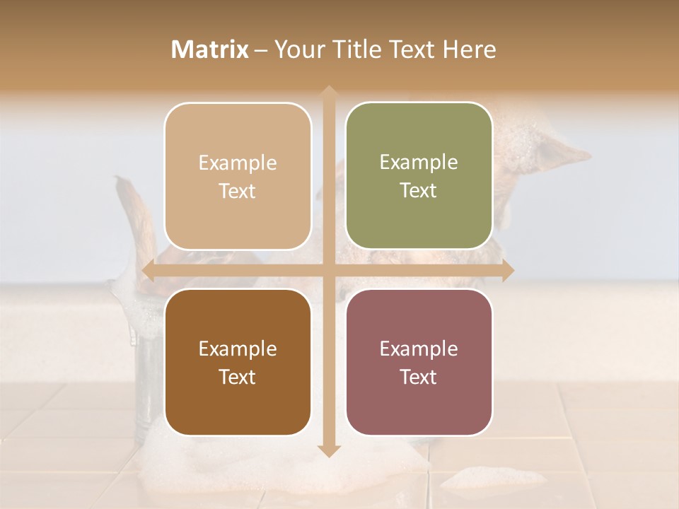 Couple Man Renovation PowerPoint Template