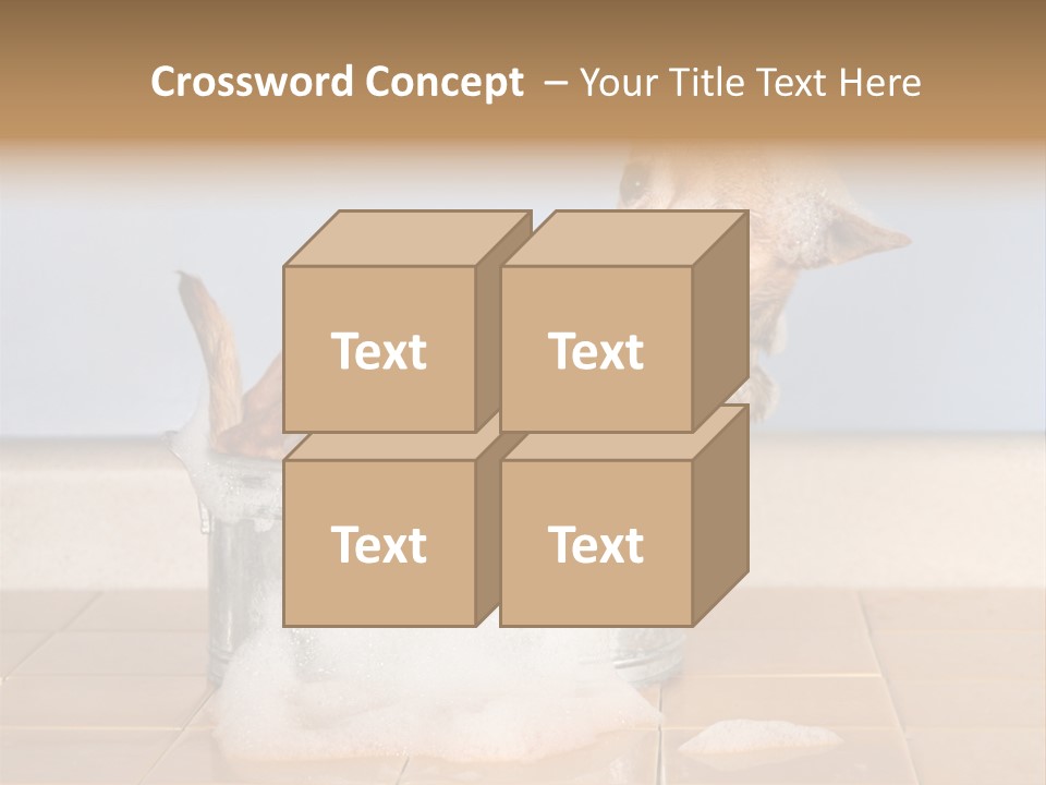 Couple Man Renovation PowerPoint Template