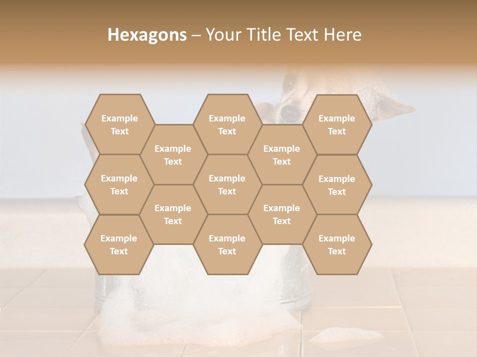 Couple Man Renovation PowerPoint Template