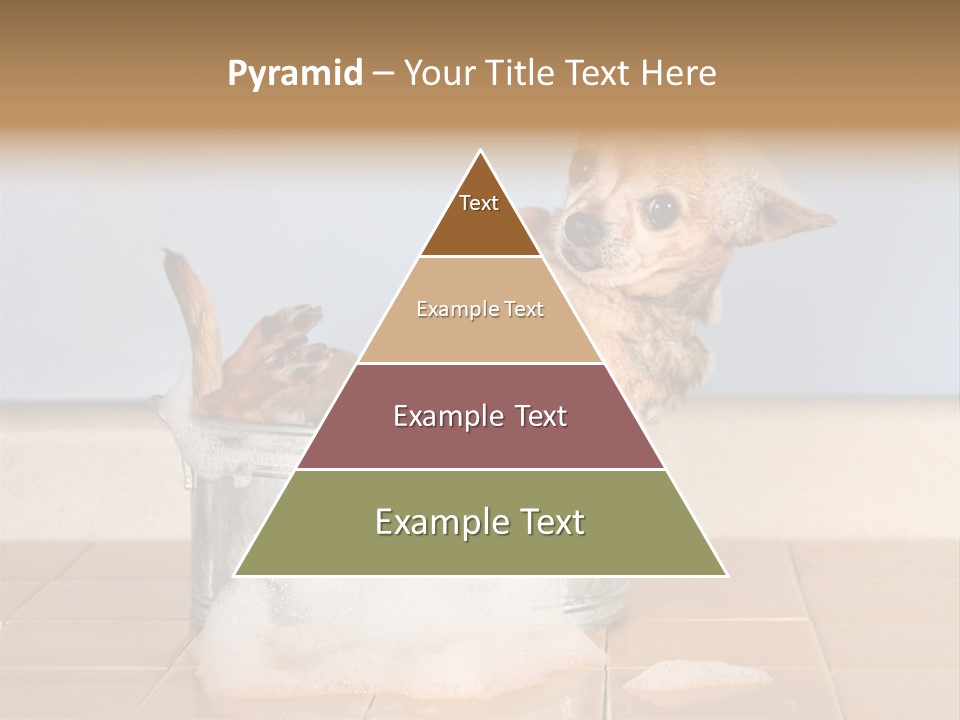 Couple Man Renovation PowerPoint Template