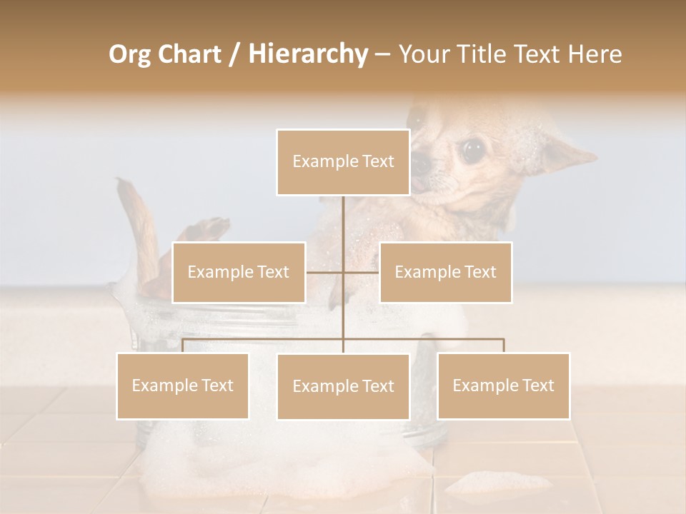Couple Man Renovation PowerPoint Template