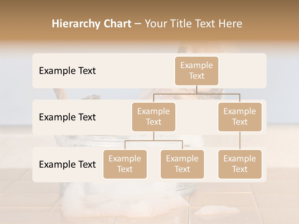 Couple Man Renovation PowerPoint Template