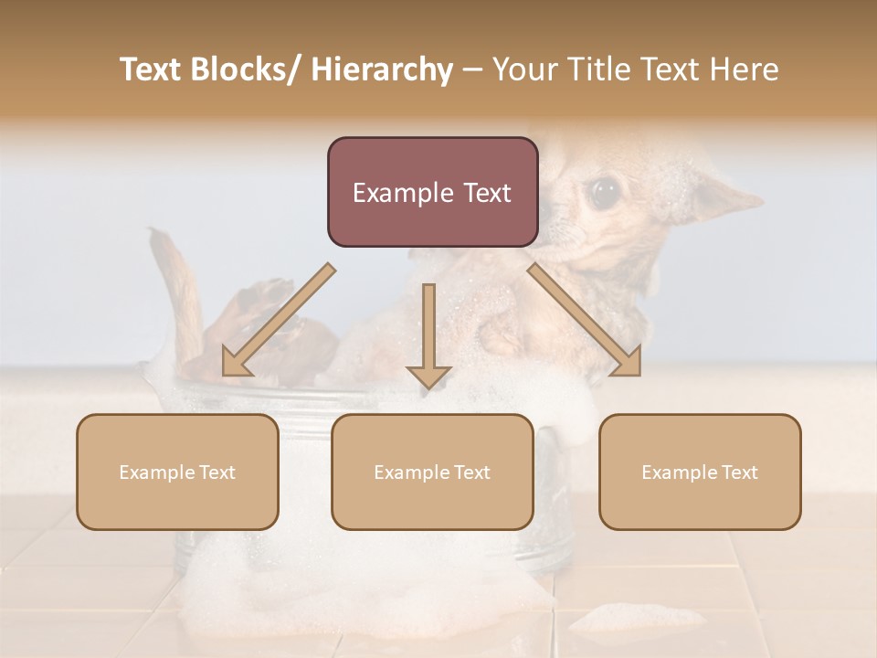 Couple Man Renovation PowerPoint Template