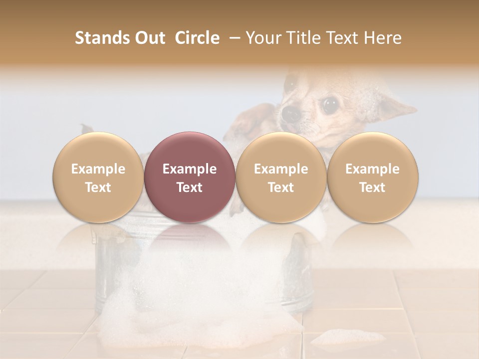 Couple Man Renovation PowerPoint Template