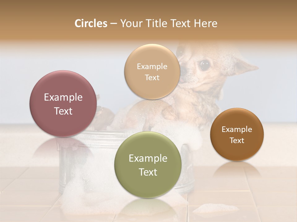 Couple Man Renovation PowerPoint Template