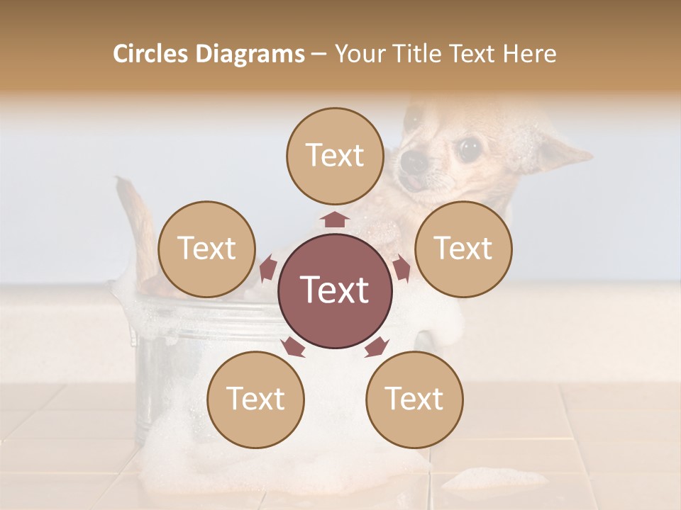 Couple Man Renovation PowerPoint Template