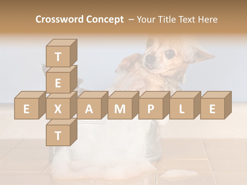 Couple Man Renovation PowerPoint Template