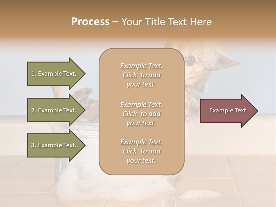 Couple Man Renovation PowerPoint Template