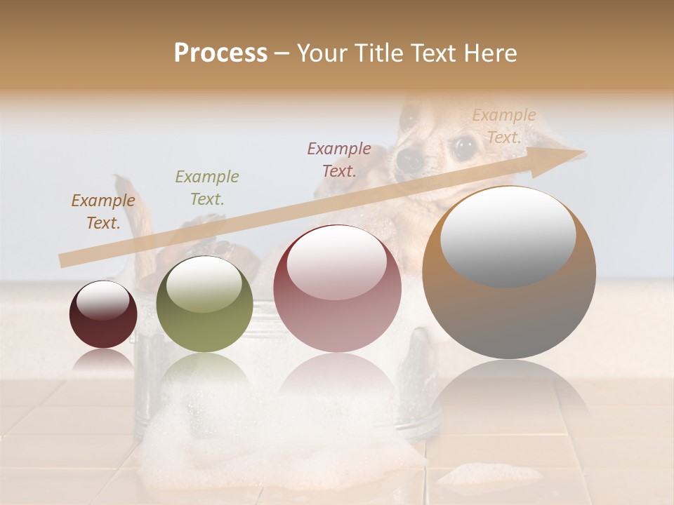 Couple Man Renovation PowerPoint Template