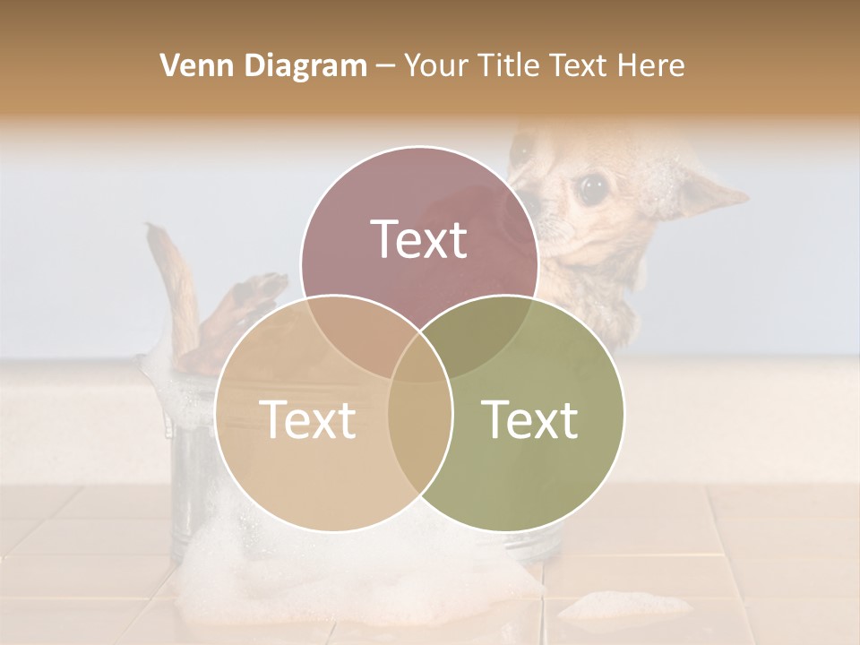 Couple Man Renovation PowerPoint Template