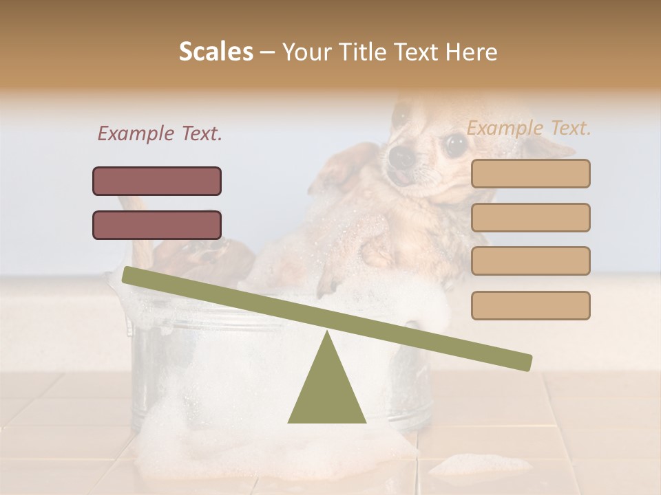 Couple Man Renovation PowerPoint Template