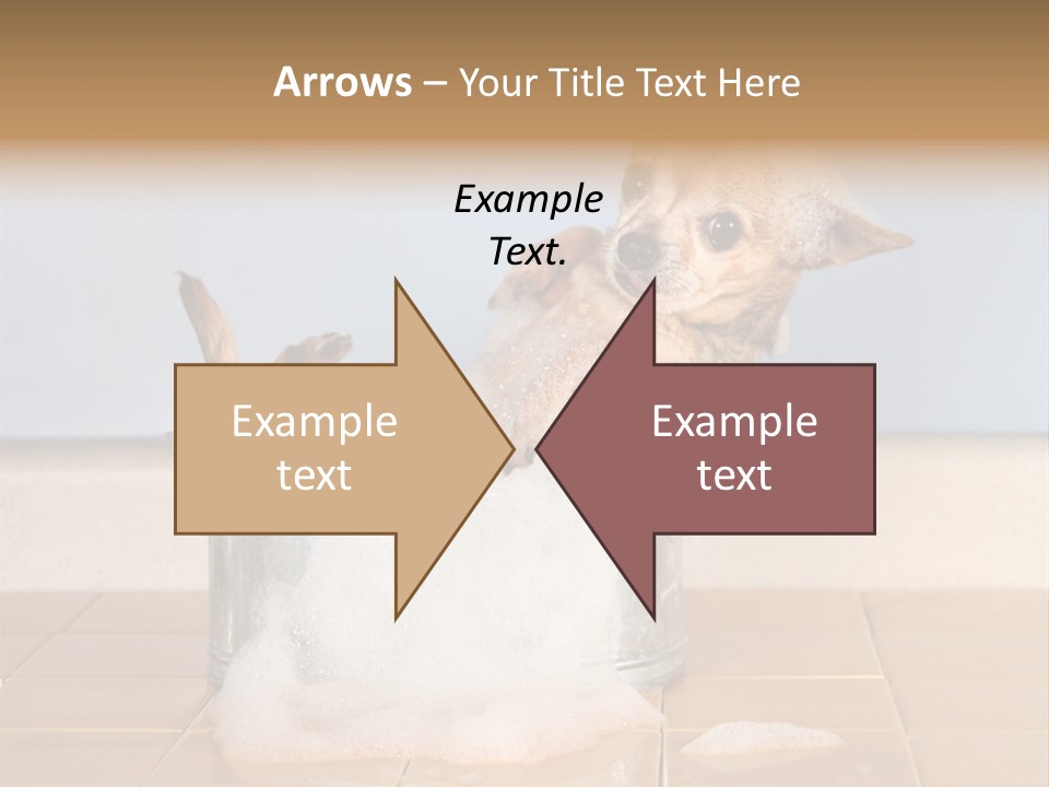 Couple Man Renovation PowerPoint Template