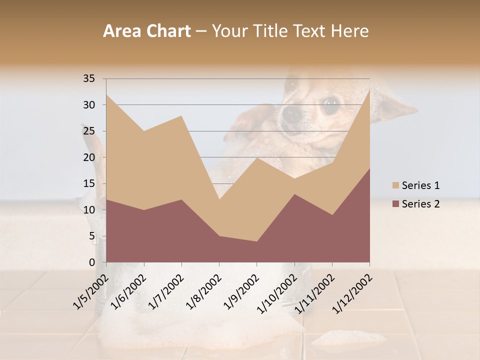 Couple Man Renovation PowerPoint Template