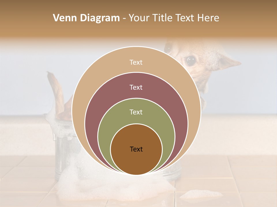 Couple Man Renovation PowerPoint Template