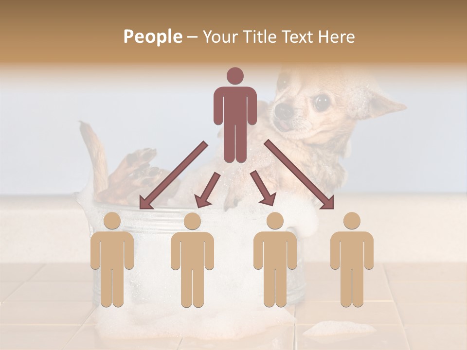 Couple Man Renovation PowerPoint Template