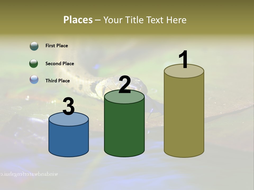 A Snake On A Leaf In A Pond Powerpoint Template PowerPoint Template
