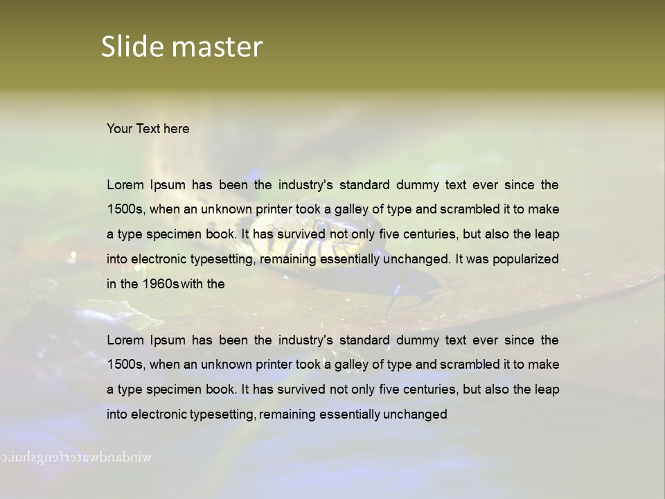 A Snake On A Leaf In A Pond Powerpoint Template PowerPoint Template