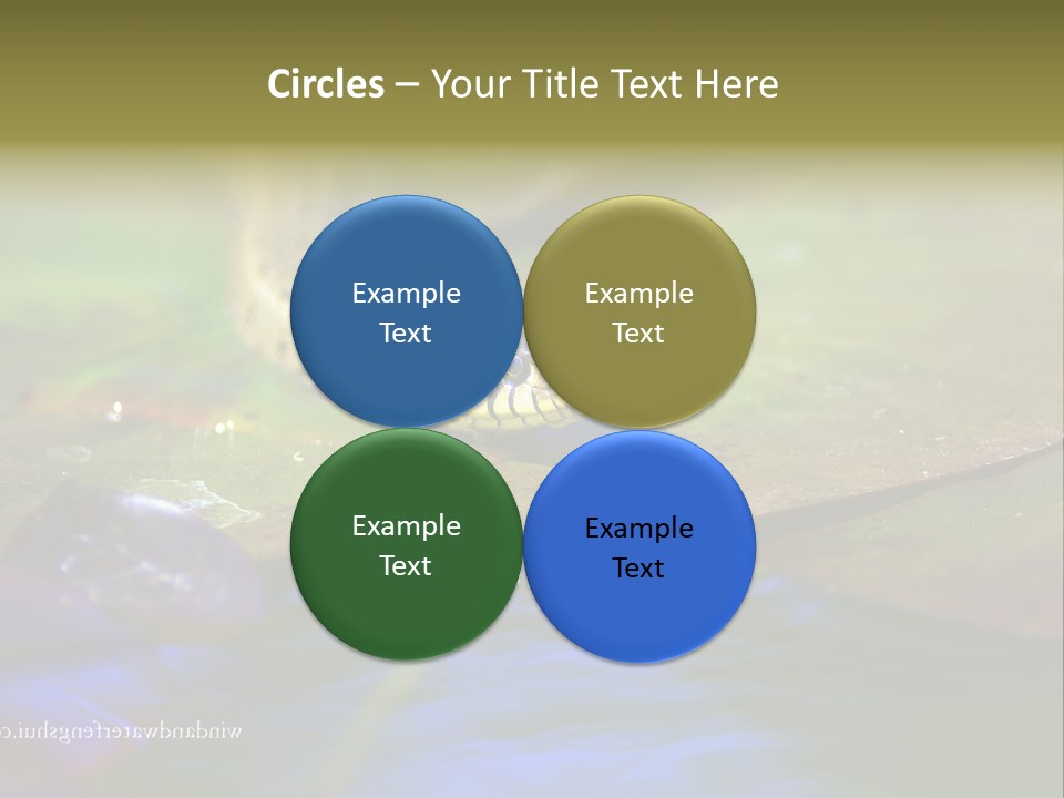 A Snake On A Leaf In A Pond Powerpoint Template PowerPoint Template