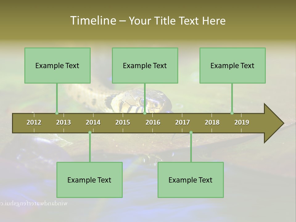A Snake On A Leaf In A Pond Powerpoint Template PowerPoint Template