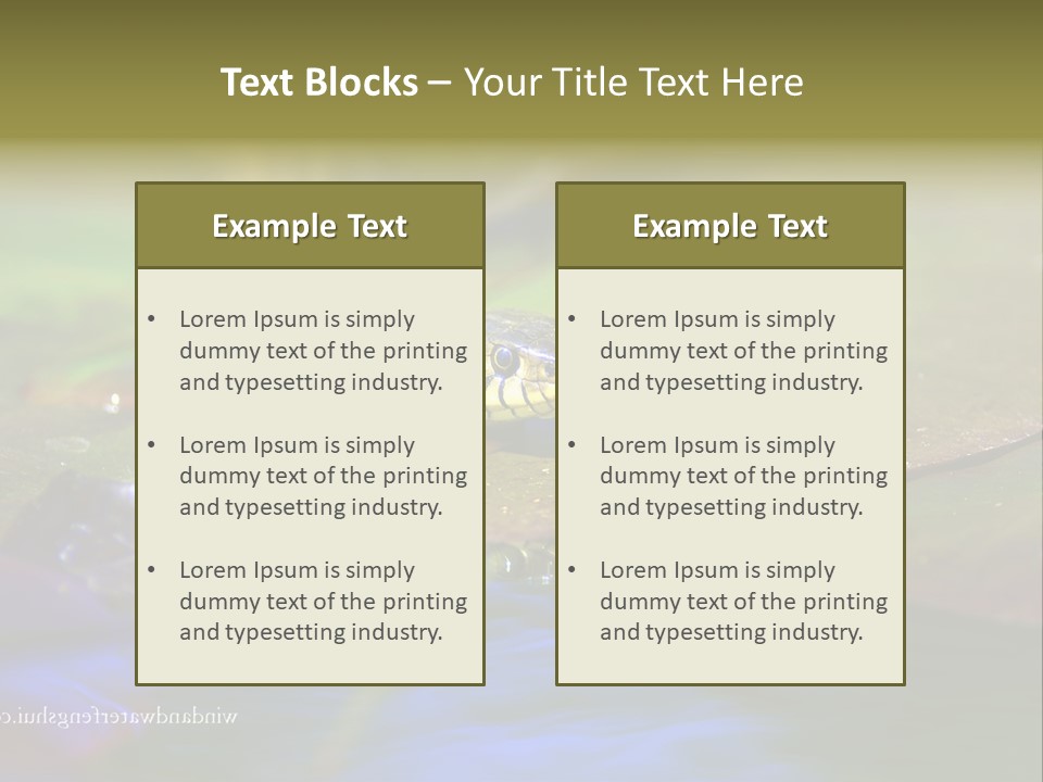 A Snake On A Leaf In A Pond Powerpoint Template PowerPoint Template
