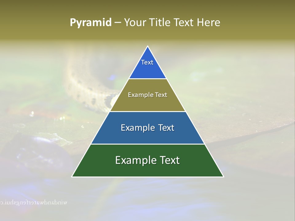 A Snake On A Leaf In A Pond Powerpoint Template PowerPoint Template