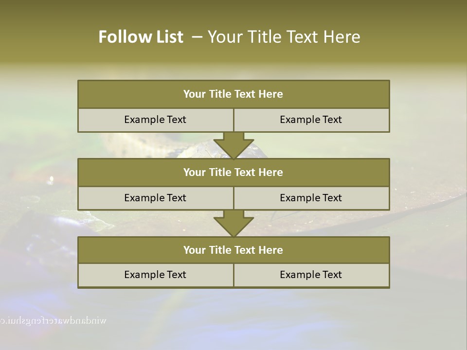 A Snake On A Leaf In A Pond Powerpoint Template PowerPoint Template