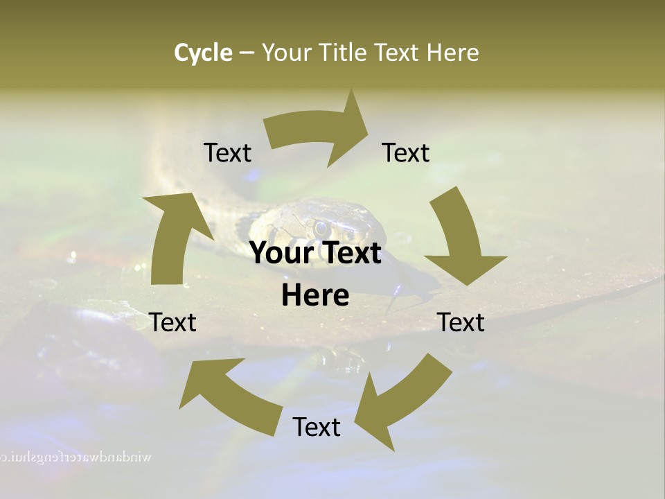 A Snake On A Leaf In A Pond Powerpoint Template PowerPoint Template