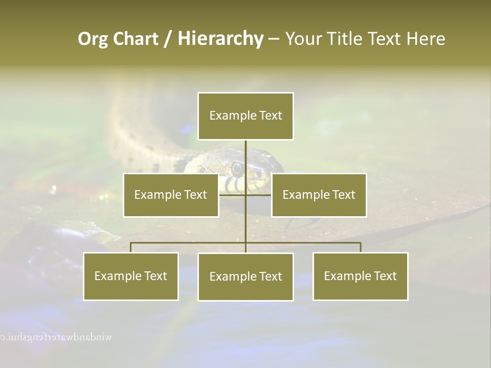 A Snake On A Leaf In A Pond Powerpoint Template PowerPoint Template