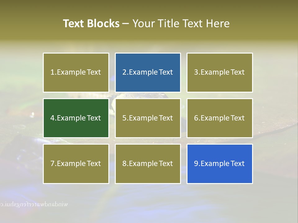 A Snake On A Leaf In A Pond Powerpoint Template PowerPoint Template