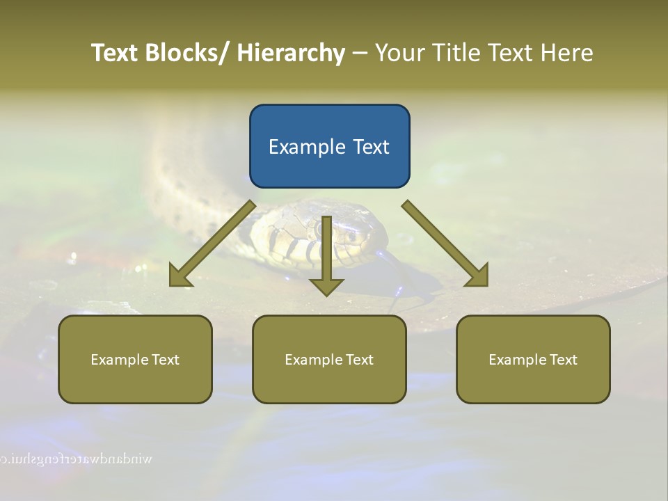 A Snake On A Leaf In A Pond Powerpoint Template PowerPoint Template