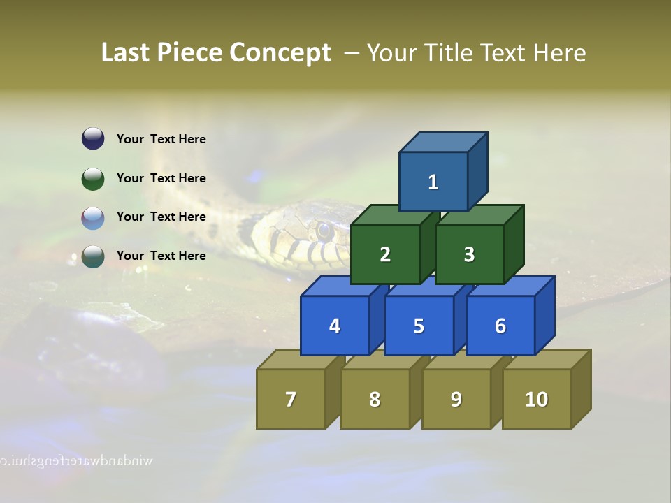 A Snake On A Leaf In A Pond Powerpoint Template PowerPoint Template