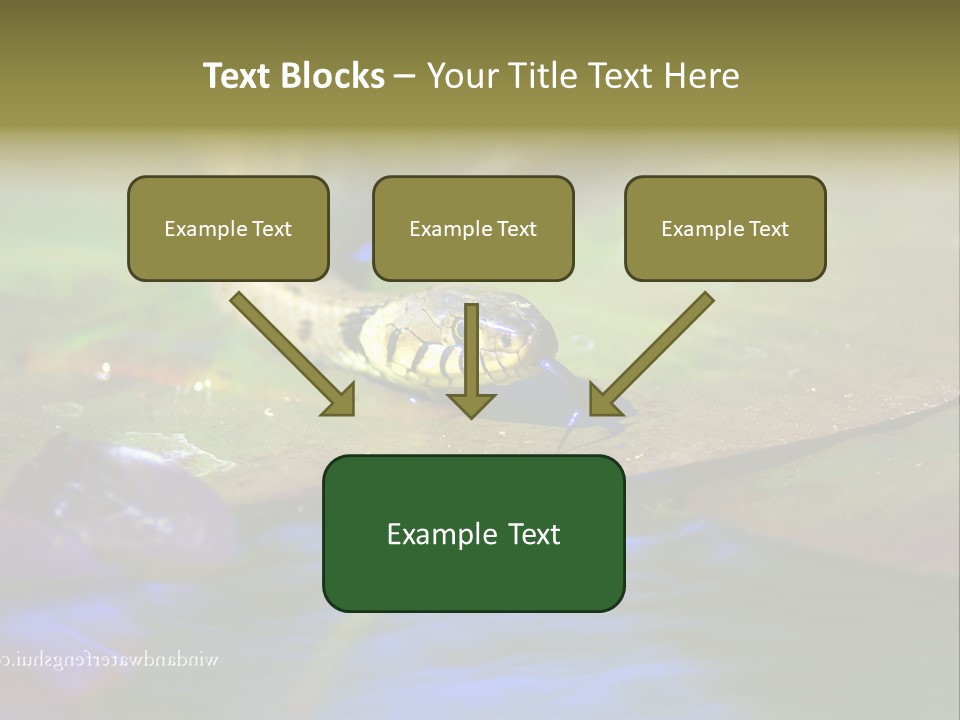 A Snake On A Leaf In A Pond Powerpoint Template PowerPoint Template