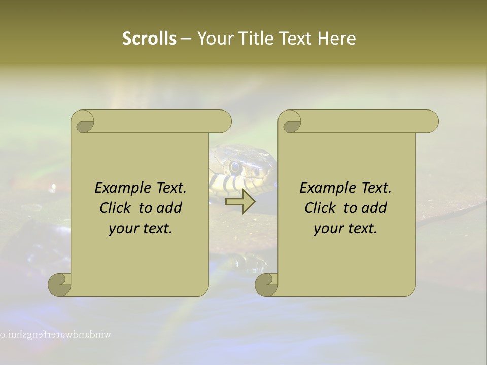 A Snake On A Leaf In A Pond Powerpoint Template PowerPoint Template