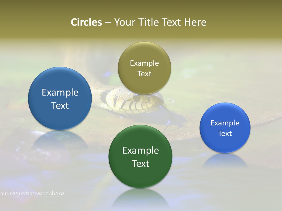 A Snake On A Leaf In A Pond Powerpoint Template PowerPoint Template