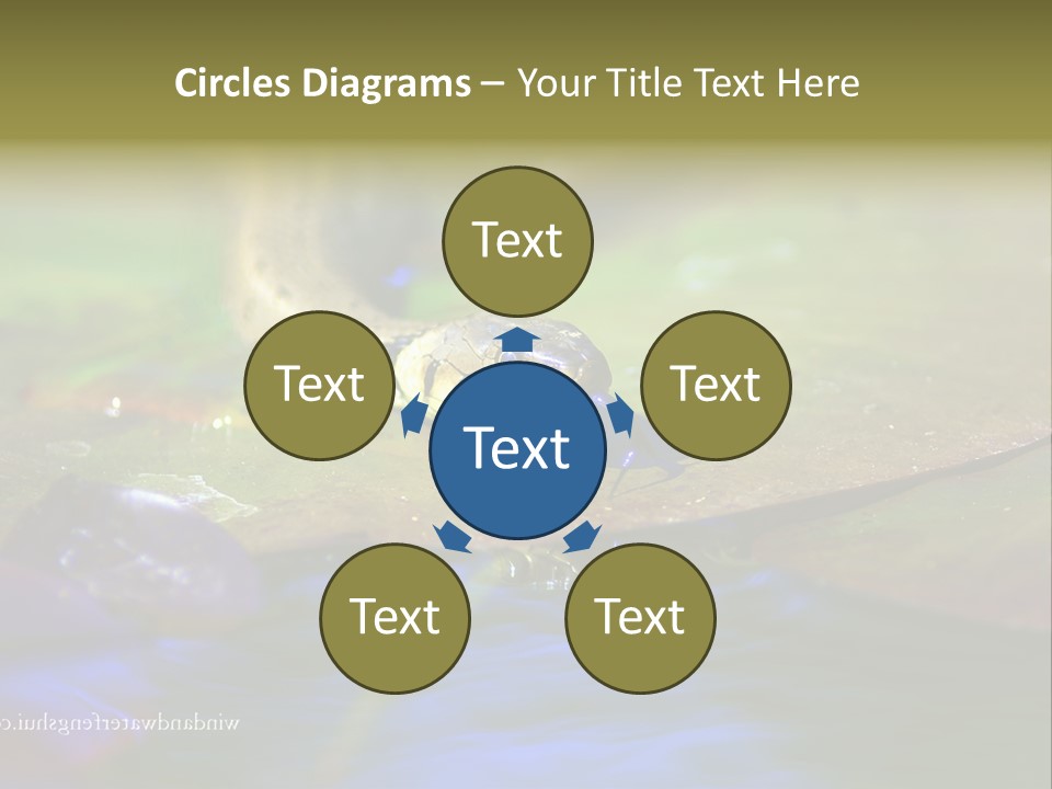 A Snake On A Leaf In A Pond Powerpoint Template PowerPoint Template