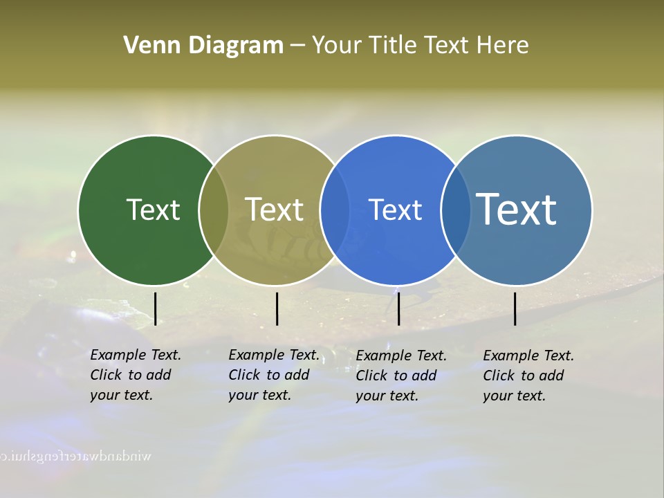 A Snake On A Leaf In A Pond Powerpoint Template PowerPoint Template