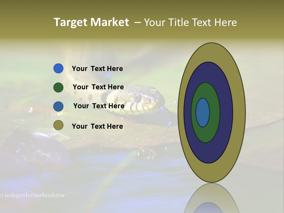 A Snake On A Leaf In A Pond Powerpoint Template PowerPoint Template