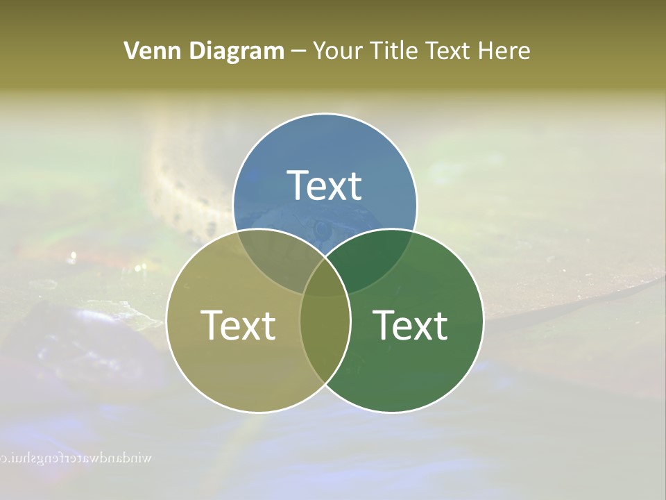 A Snake On A Leaf In A Pond Powerpoint Template PowerPoint Template