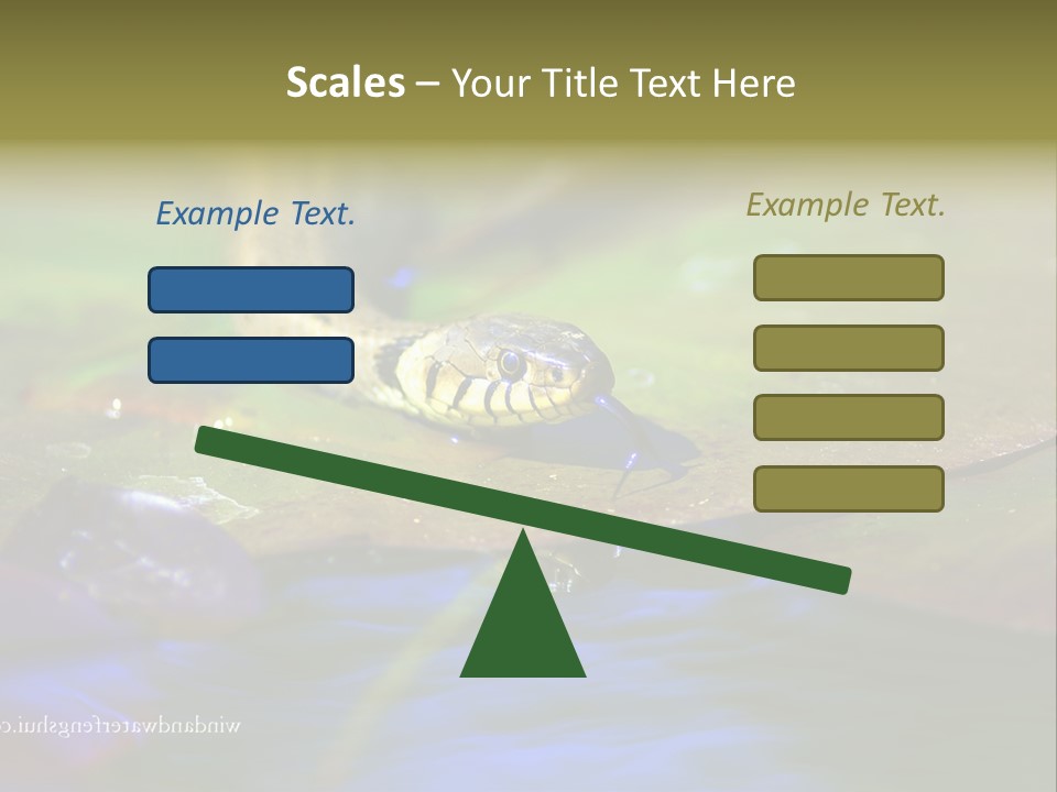 A Snake On A Leaf In A Pond Powerpoint Template PowerPoint Template