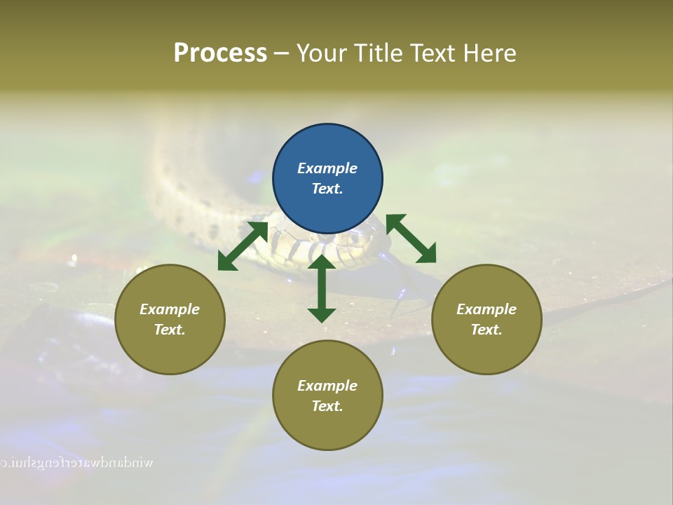 A Snake On A Leaf In A Pond Powerpoint Template PowerPoint Template